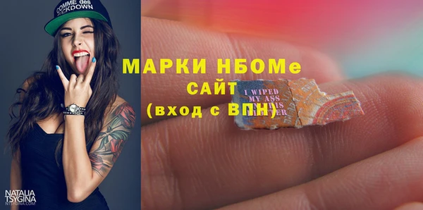 амф Инсар