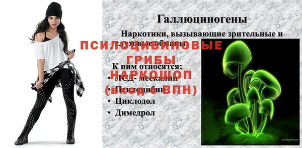 экстази Гусь-Хрустальный